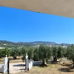 L'olivo - Meridiana Al Mare