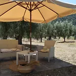 L'olivo - Meridiana Al Mare Apartman