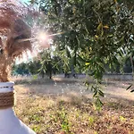 L'olivo - Meridiana Al Mare Apartman