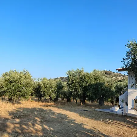 Apartman L'olivo - Meridiana Al Mare